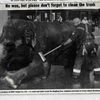 FDNY Station Was Shut Down To Wash Ringling Bros. Elephant